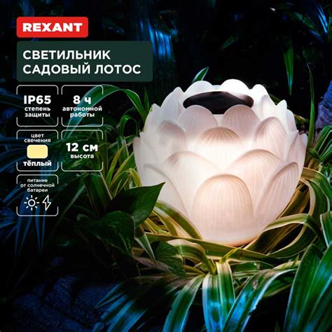 Ландшафтный светильник REXANT 602-2431 ⚡ - купить с доставкой по Москве ...
