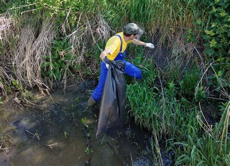 Sanovil Ac Iune De Ecologizare Pe Valea Sigmir Timponline Ro