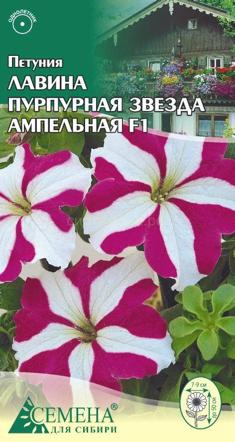 ЦВЕТЫ ОДНОЛЕТНИЕ — Семена для Сибири