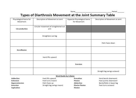 Synovial (Diarthrosis) Joints Worksheet- Illustrated - Amped Up Learning