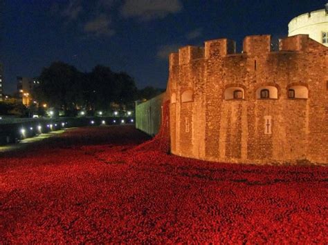 888,246 Breathtaking Poppies Make the Tower of London More Stunning