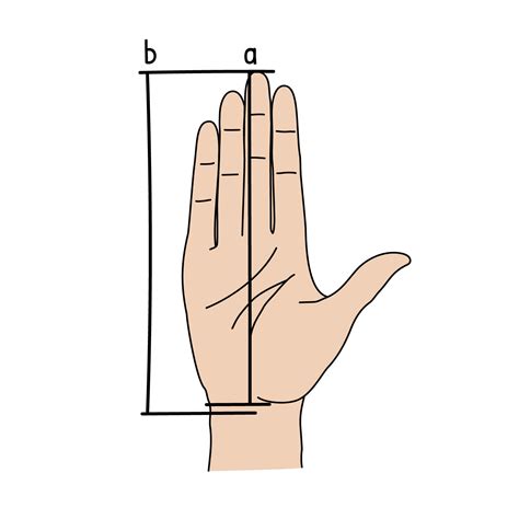 Single Bevel vs Double Bevel Knives: Which One to Choose?
