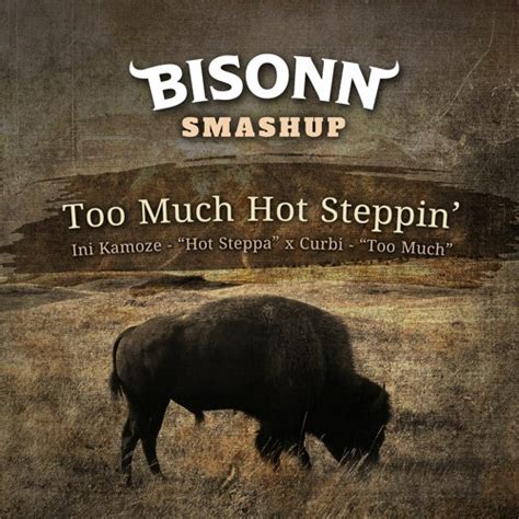 Stream Too Much Hot Steppin BISONN SMASHUP By Bisonn Listen Online For Free On SoundCloud