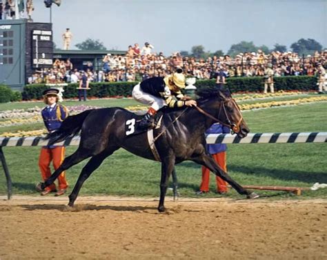 40 years ago, Seattle Slew 'em in remarkable Triple Crown run | Horses ...