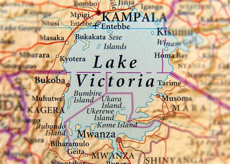 amazing facts  lake victoria uganda location cichlids map size