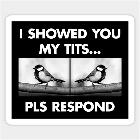 I Showed You My Tits Pls Respond Funny Sticker Teepublic