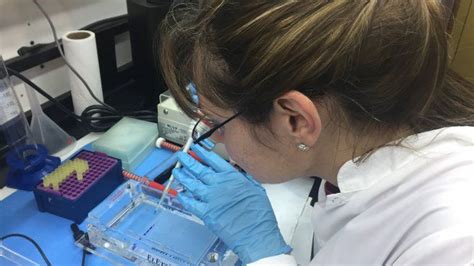 El Conicet Fue Elegido Como La Mejor Instituci N Cient Fica De Am Rica Latina