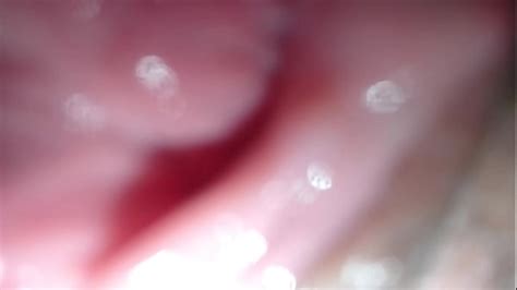 Pussy Spreading Search XNXX