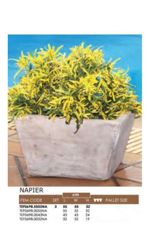 Napier Rosa Planters Vietnam Co Ltd