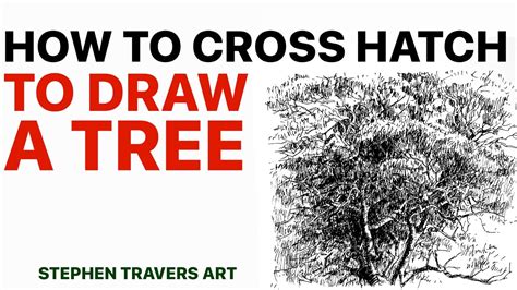 How To Cross Hatch To Draw A Tree Youtube