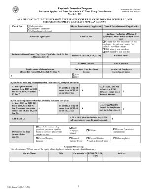 Sba C Fill And Sign Printable Template Online