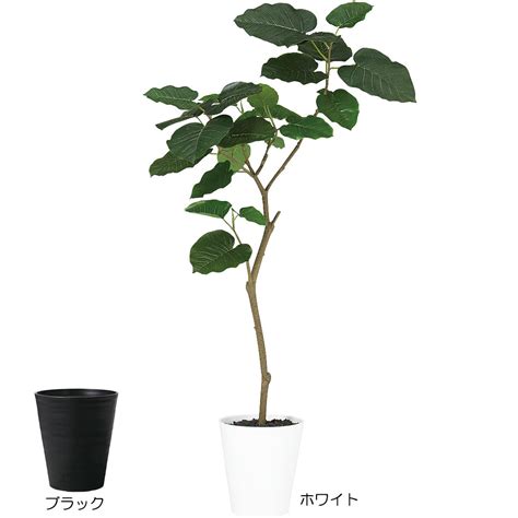 【楽天市場】【フェイクグリーン】おしゃれ 観葉植物 ウンベラータ リアル 人気 おすすめ 全高120cm 人工観葉植物 人工樹木 造花