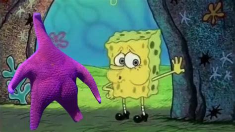 Thicc Starfish Becomes Internets Latest Viral Meme Ebaums World