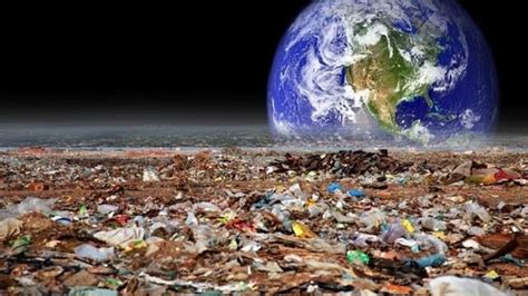 hinh anh  nhiem moi truong  dao