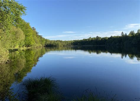 Sentier De Létang De La Lande Forêt Randonnée Normandie