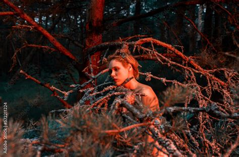Naked Woman Among The Dried Branches Of Old Pine Trees Stock Photo Adobe Stock