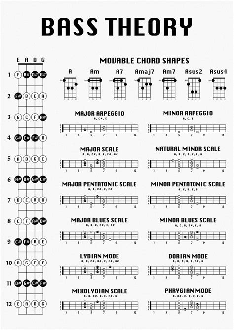 bass guitar theory poster bass chord chart bass fret notes etsy
