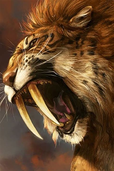 Top 5 Saber Tooth Tiger Facts Sabertooth Sabertooth Tiger Big Cats Art