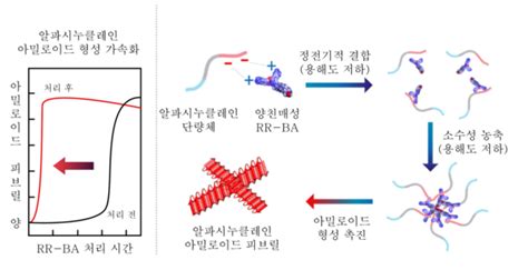 국내연구진 파킨슨병 유발 독성 단백질 응집체 형성 원리 설명하는 새 모델·조절 물질 개발