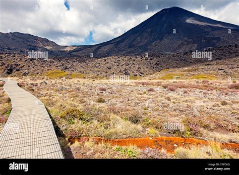 Trail In Tongariro National Park Ruapehu District North Island New