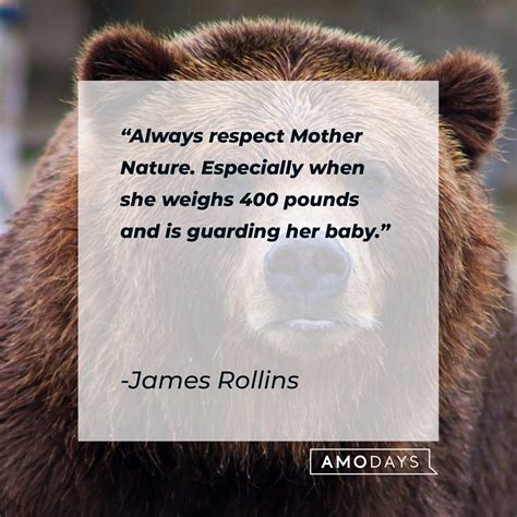 bear quotes  tribute   majestic creatures