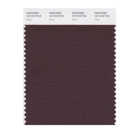 PANTONE Smart 19-1518X Color Swatch Card, Puce