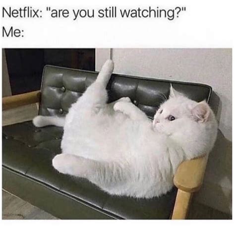 When She Appoints You As The Guy She Calls When She S Horny Funny