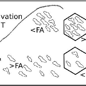 Diagram of the forest area, forest cover and crown cover of P ...