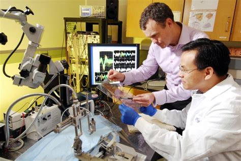 Professioni dell'Ingegnere Biomedico - IngegneriaBiomedica.org
