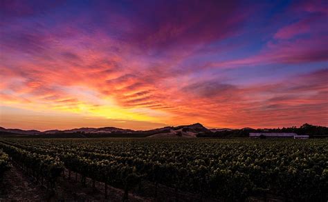 Best Places To Watch The Sunset In Napa Valley Sunset Beautiful Sky