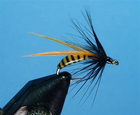 Wet Wasp Fly Fishing Forum