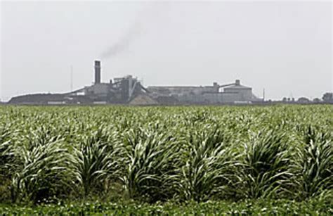 Us Sugar Buyout Sweet Deal For The Everglades