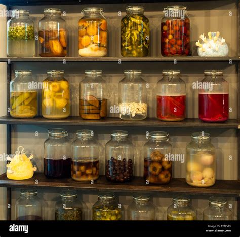 canned food shelf stock photo alamy
