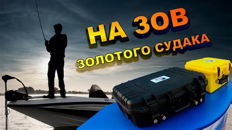 LiFePO4 аккумуляторы Titanat.ru на рыболовном турнире "Золотой судак ...