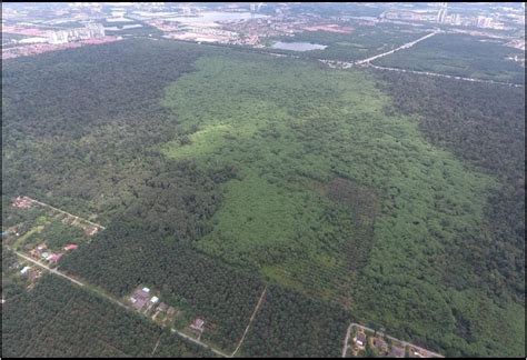 Selangor Batal Nyahwarta Hutan Simpan Kuala Langat Utara Selangorkini