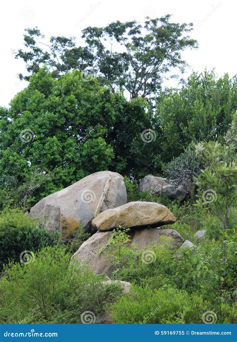 Rocks And Trees Stock Image Image Of Hill Granite Beautiful 59169755