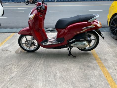 Honda Scoopy Price In Veal Vong Cambodia