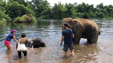 elephant sanctuary from bangkok