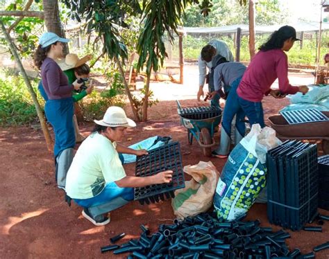 Treinamento Viveiro 5 Black Jaguar Foundation