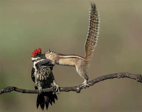Sue Was Shocked At How Fast Her Gay Best Friend Collin Decided To Shoot