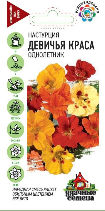 Настурция Девичья краса: описание сорта, характеристики, особенности ...