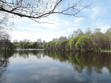 Измайловский парк: freewind777 — LiveJournal