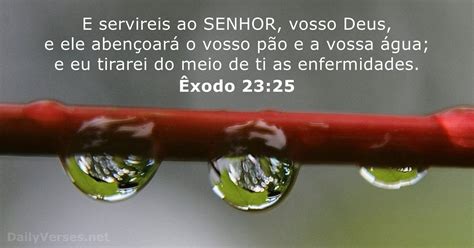 12 Versículos da Bíblia sobre Saúde DailyVerses net