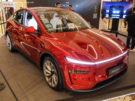 tesla net worth in 2025