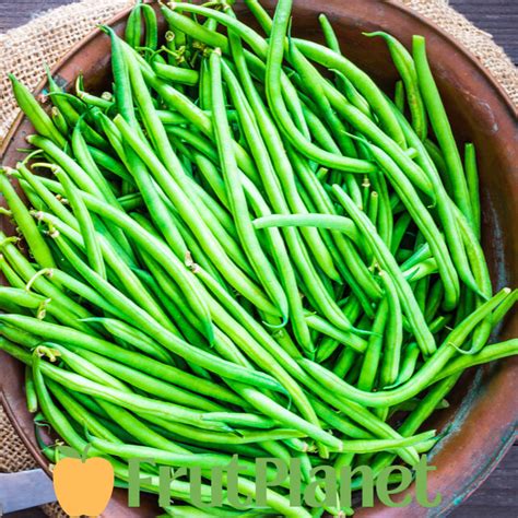 Fresh French Beans Frutplanet