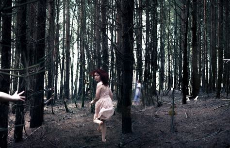 fear  key points simplicable