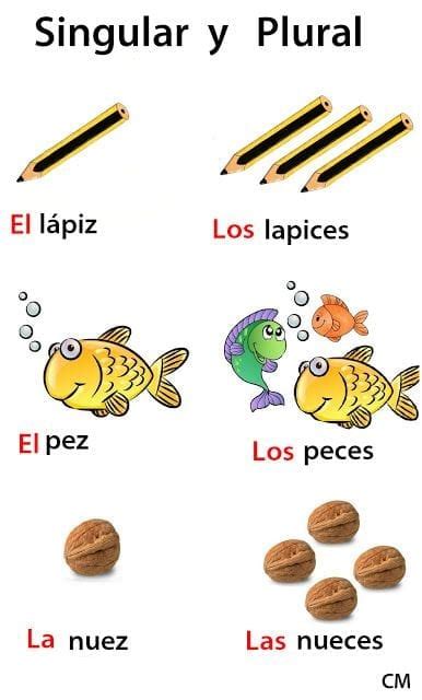 Plural Nouns In Spanish — Steemit