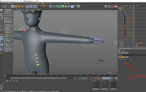 如何使用c4d的骨骼绑定功能？c4d骨骼绑定的教程？ 羽兔网