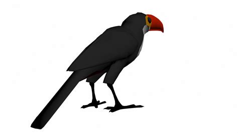 TOUCAN 3D model - TurboSquid 1736886