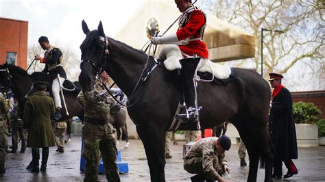 Londra O Persoan A Fost R Nit Dup Ce Mai Mul I Cai Din Cavaleria